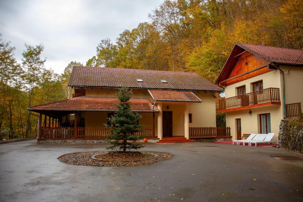 Pensiunea Valea Gepisului Grosi  Екстериор снимка