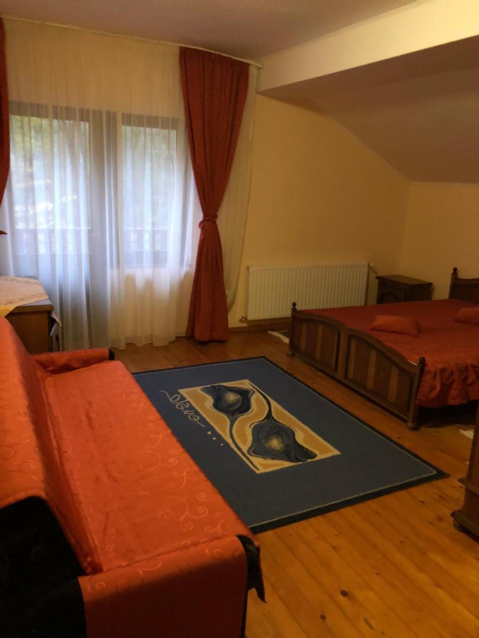 Pensiunea Valea Gepisului Grosi  Екстериор снимка